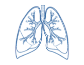 Purifica el aire gracias a su sistema de flujo de agua